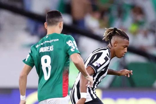 Palmeiras empata com o Botafogo no Rio e perde liderança do Brasileirão para o Flamengo