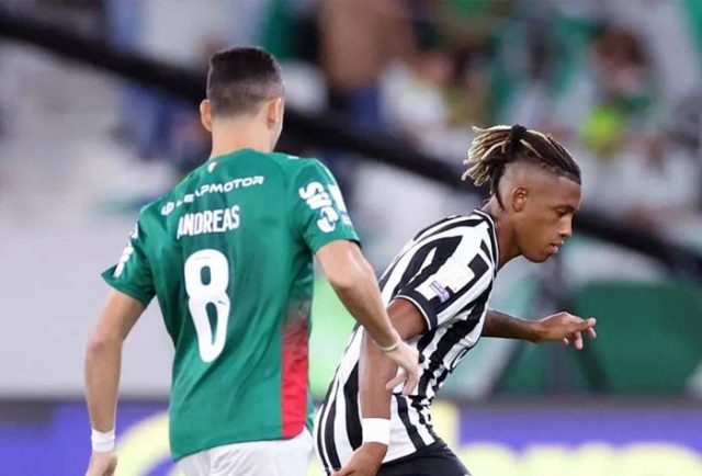 Palmeiras
