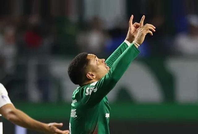 Palmeiras