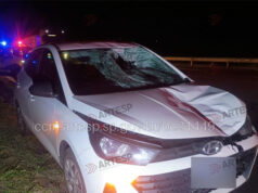 Pedestre morre atropelado na Rodovia Washington Luís ao tentar atravessar a pista