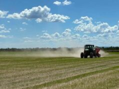 El Niño muito forte eleva riscos para commodities agrícolas no 4º trimestre, aponta Hedgepoint