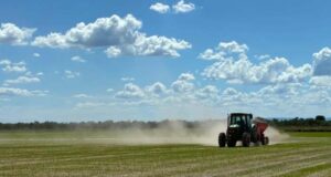 El Niño muito forte eleva riscos para commodities agrícolas no 4º trimestre, aponta Hedgepoint