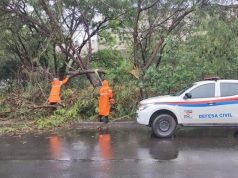 Sob alerta amarelo de perigo, chuvas neste domingo derrubaram árvores em vários pontos em Araraquara