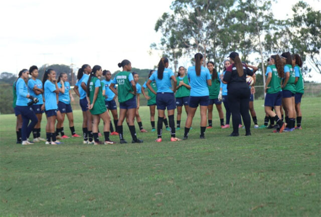 Guerreirinhas