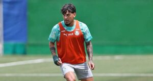 Palmeiras vai ao Rio nesta quarta para enfrentar o Fluminense pelas semifinais da Libertadores
