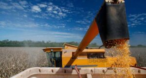 Crédito rural para a agricultura empresarial soma R$ 107,1 bilhões em três meses da safra 2026/2027